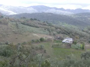 Se vende bonita finca