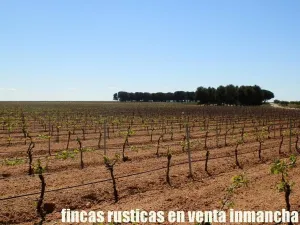 finca en venta 295 has. labor secano Albacete