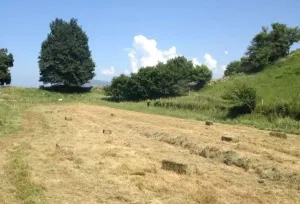 Finca en Corvera de Toranzo