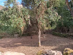 Finca en Espinosa de los Monteros