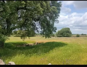Preciosa finca, buen acceso