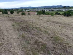 Se vende finca agricola de 5ha