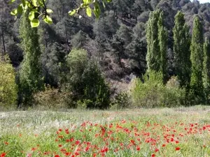 Suelo Urbano con Finca de regadío Parque Nat.