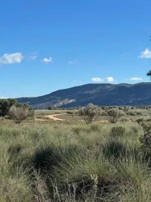 Finca en Aledo