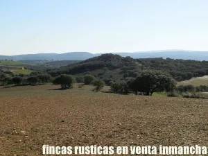 finca en venta 25 has. recreo ganadera