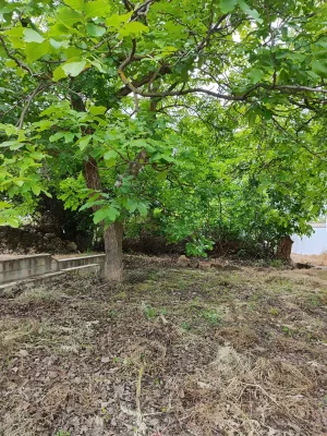 Finca rustica en Durcal, Marchena