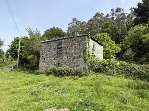 Fincas con Casas de Piedra y Eucaliptal