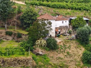 Finca en Resende