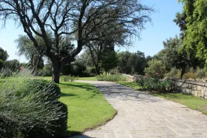 Finca exclusiva en Madrid Ref. 1549