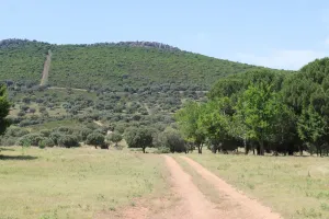 Finca de caza, ganadera, agrícola. Ref. 1548
