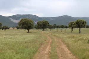 Finca recreo, caza e hípica Ref. 1547