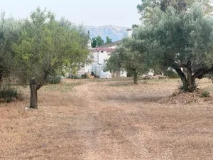 FINCA RUSTICA CON CASA EN VENTA ROQUETES