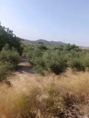 Casa rústica con porche y patio en Paraje Retamar, Cehegín – 97 m2