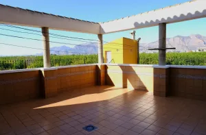 Finca en Orihuela - Alicante