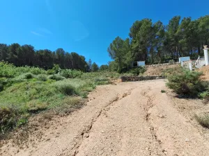 Oportunidad Terreno rústico en Caseta Leal, a solo 3 km de Castalla, con olivos, almendros y una amplia zona de bosque, por tan solo 0,40 €/m2.