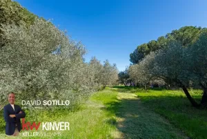Finca rústica con vivienda, olivar, frutales
