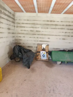 Finca rústica de 30.771 m2 con 500 almendros, 35 oliveras y almacén en Bullas