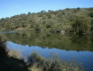 ^**^ACTIVO PATRIMONIAL ÚNICO EN ESPAÑA –4.500 HECTÁREAS DE DEHESA, CAZA, RECURSOS NATURALES Y EXPLOTACIÓN AGROFORESTAL^**^