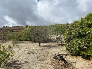 Gran oportunidad de negocio en Granadilla de Abona.