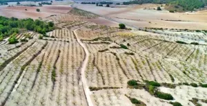 HACIENDA RUSTICA CON CASA CORTIJO - MORATALLA