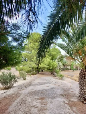 Cortijo andaluz con 13,5 hectáreas, Partaloa