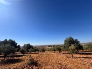 finca regadio y secano