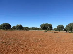 FINCA DE LABOR Y CAZA MENOR EN CIUDAD REAL