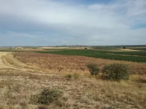 OPORTUNIDAD VENTA DE GRAN FINCA DE REGADIO