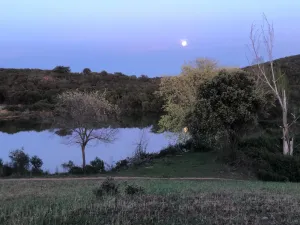 Magnifica Finca