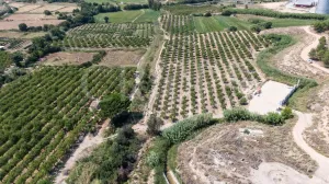 Finca de regadío en la provincia de Teruel