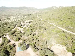 Finca de Recreo y Caza