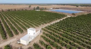 Exclusiva finca en Lomas de Pichardo