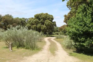 Finca recreo en Valladolid, junto AVE, 1530