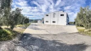 Olivar con almazara y cortijo en Córdoba