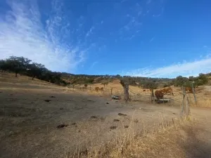 finca ganadera en el término de la nava,