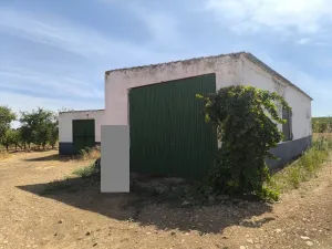Finca de 8.3 Hectáreas regadío