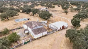 Dehesa ganadera en venta en Huelva
