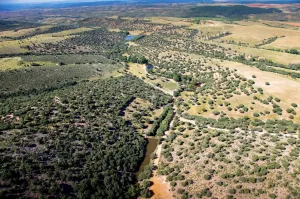 EXCLUSIVA FINCA CINEGÉTICA DE CAZA MYOR