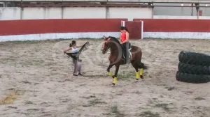 Finca para eventos taurinos y ocio rural