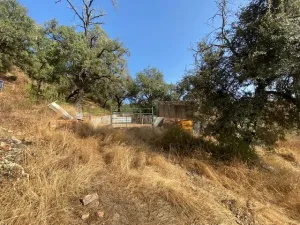 FINCA EN LA NAVA