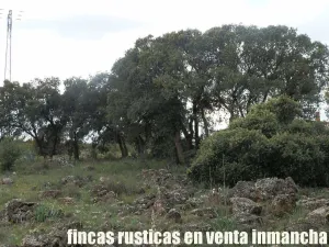 finca en venta 186 has. labor caza menor