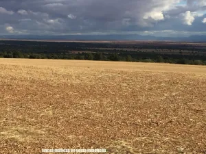 finca en venta 1309 Has. labor caza menor