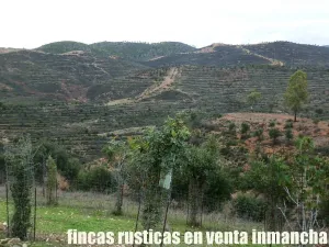 finca en venta 216 has. Recreo Ganadera