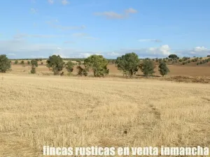 finca en venta 350 has. labor secano olivar