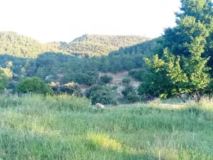 Finca agrícola con coto de caza y masia
