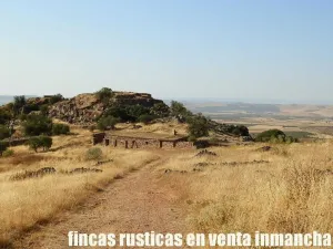 finca venta 326 has labor ganadera en Almagro