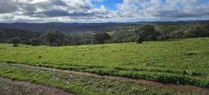 Magnifica finca de 275 ha