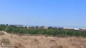 PARCELAS rústicas en Agost.