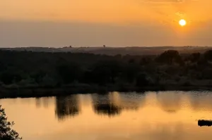 Finca Con Buen Acceso En Venta.