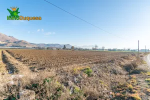 Venta de parcela de regadío en Fuente Vaquero